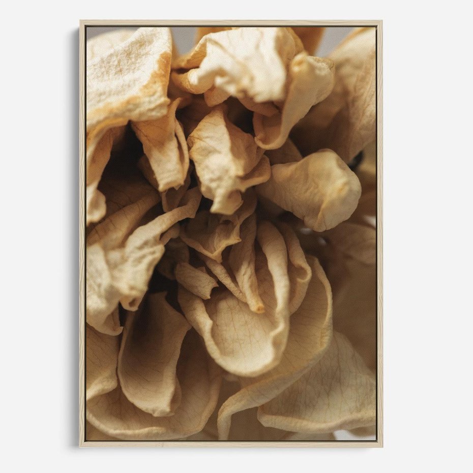 Obraz w ramie 70x100 - Zjawiskowe zasuszone kwiaty - zasuszone, kwiaty - rama drewno