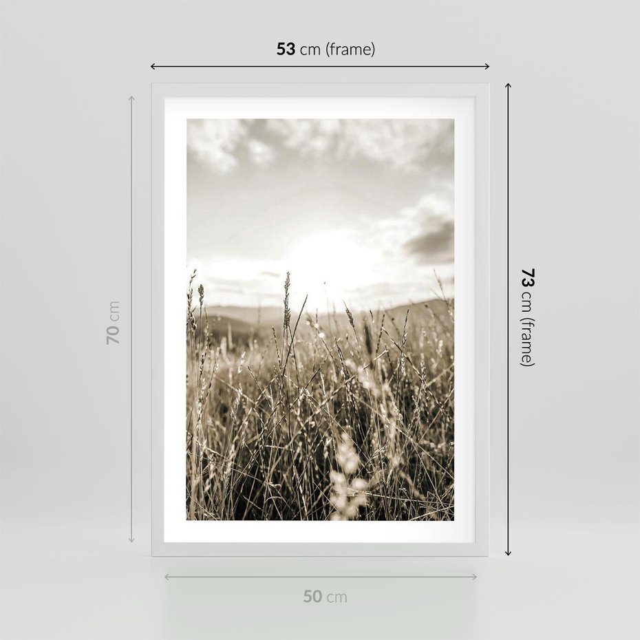 Plakat w ramie 50x70 - Łąka w Klimacie Sepii - suche trawy, łąka - rama biała
