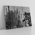 Obraz na płótnie 120x80 - Pustynny Klimat - czarno białe zdjecie, pustynia
