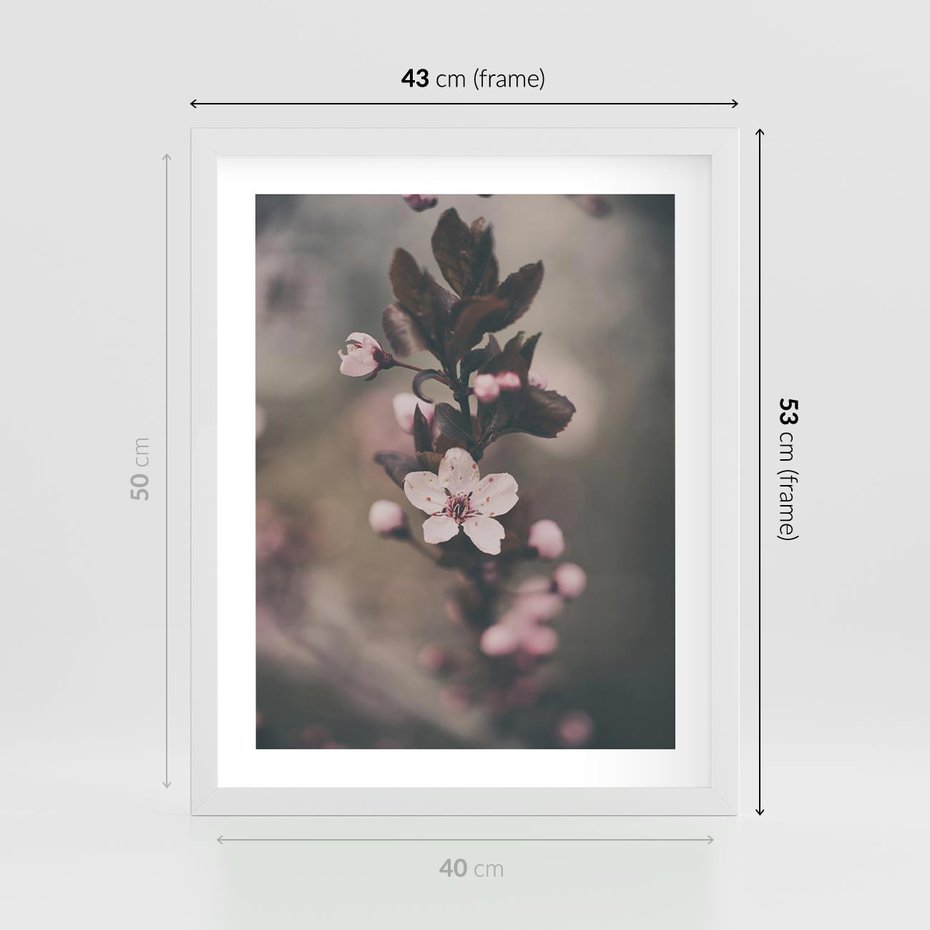 Plakat w ramie 40x50 - Przemijający Urok - kwitnąca, wiśnia - rama biała