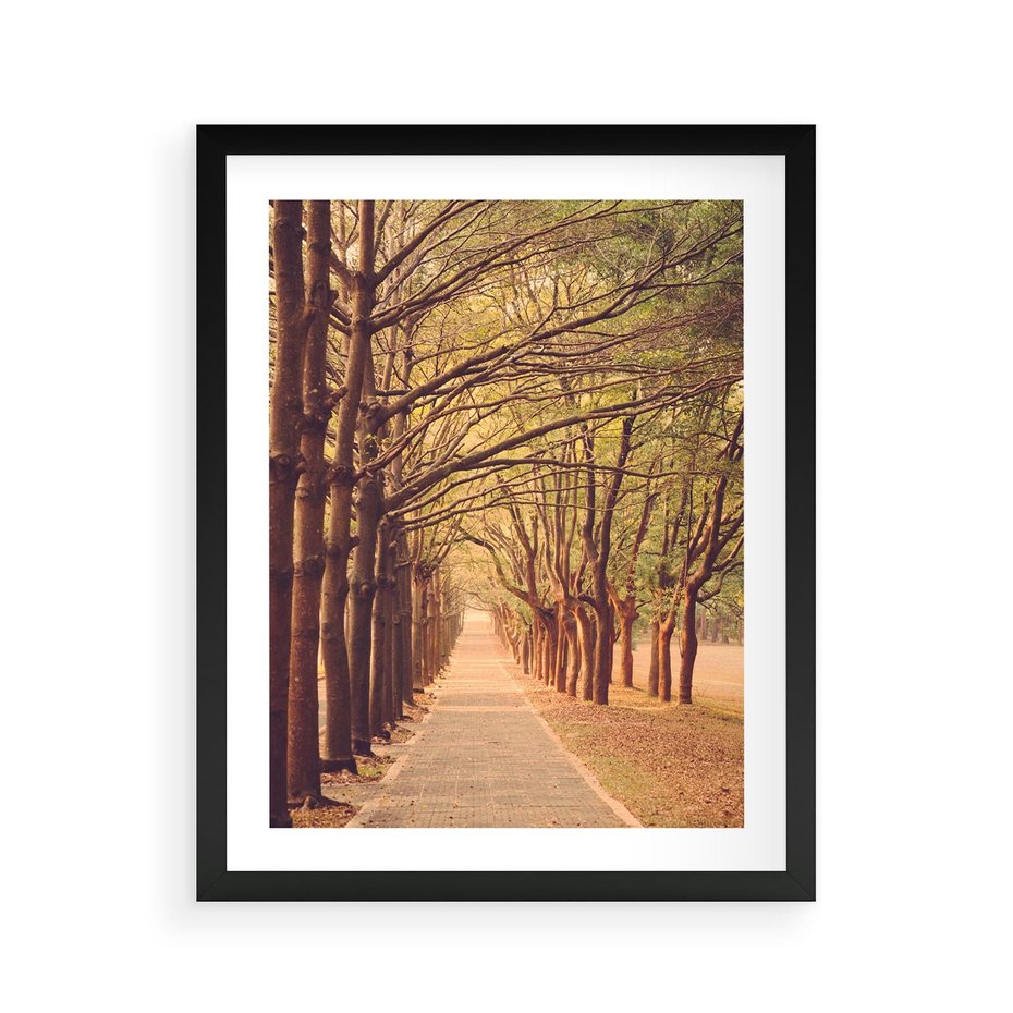 Plakat w ramie 40x50 - Wędrówka między drzewami - droga, drzewa - rama czarna