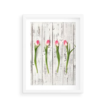 Plakat w ramie 40x50 - Kwintesencja Piękna - kwiaty, tulipany - rama biała