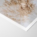 Plakat bez ramy 30x40 - Boho Urok Traw Pampasowych - suche trawy, pampas