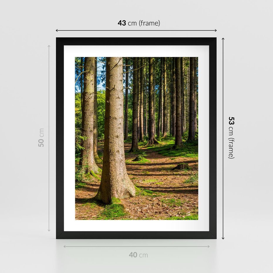 Plakat w ramie 40x50 - Las: harmonia natury - las, drzewa - rama czarna