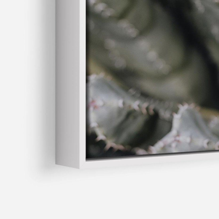 Obraz w ramie 70x50 - Boho kaktusy na pustyni - kaktusy, pustynia - rama biała