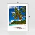 Plakat bez ramy 30x40 - Oaza palm na plaży - palma, plaża