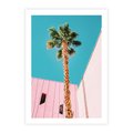 Plakat bez ramy 21x30 - Palma w Miami - palma, miami