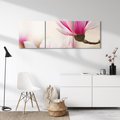 Obraz na płótnie 150x50 - Urok Magnolii - magnolie, kwiaty