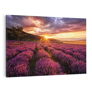 Obraz na płótnie 120x80 - Lawenda: Pachnące pole kwiatów - kwiaty, lawenda