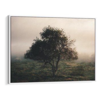 Obraz w ramie 70x50 - Zamglona Prostota - artystyczna fotografia, samotne drzewo na zamglonej łące - rama biała