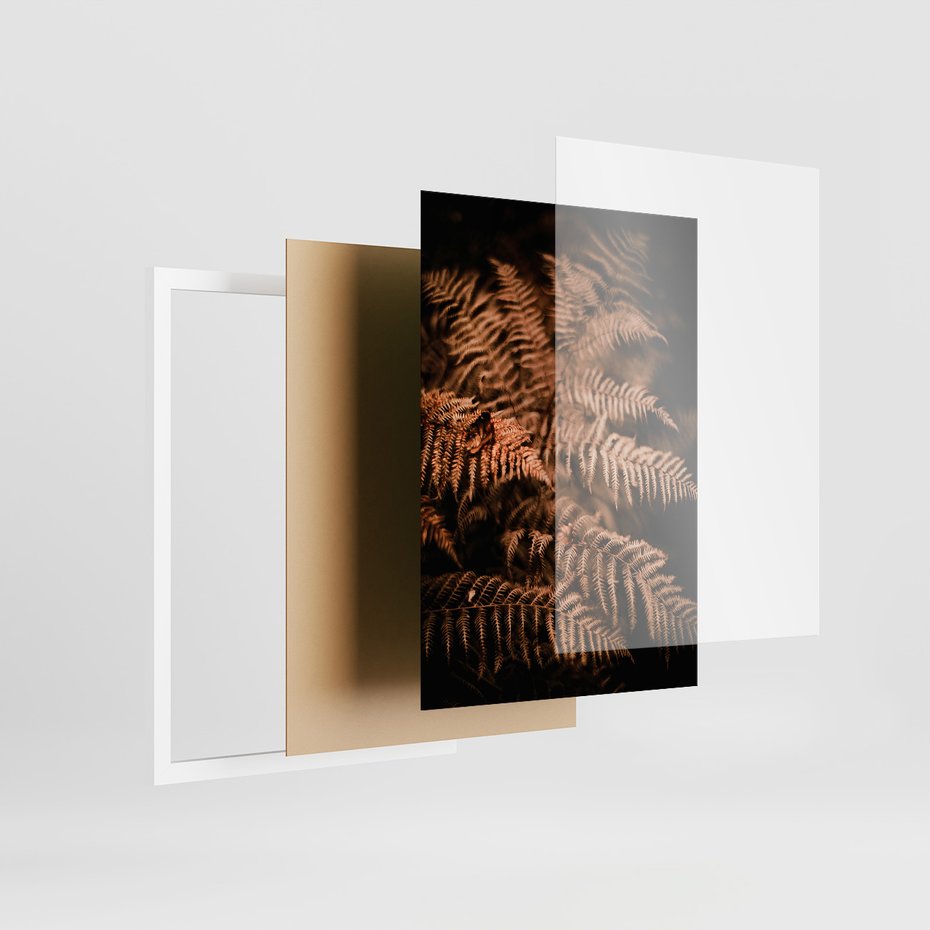 Zestaw obrazy w ramie 50x70 galeria - Bogo, jesienny, las, paprocie - rama biała