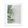 Plakat w ramie 50x70 - Minimalistyczna Harmonia: Zieleń Liści - zieone liście, kompozycja - rama biała