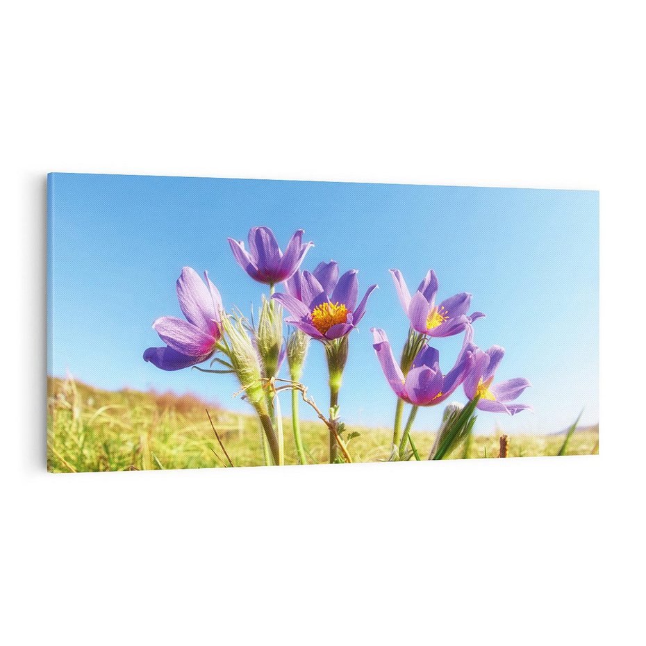 Obraz na płótnie 100x50 - Kwiatowa siła łąki - kwiaty, łąka