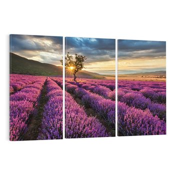 Obraz na płótnie 120x80 - Lawenda: Pachnący ogród natury - lawenda, kwiaty