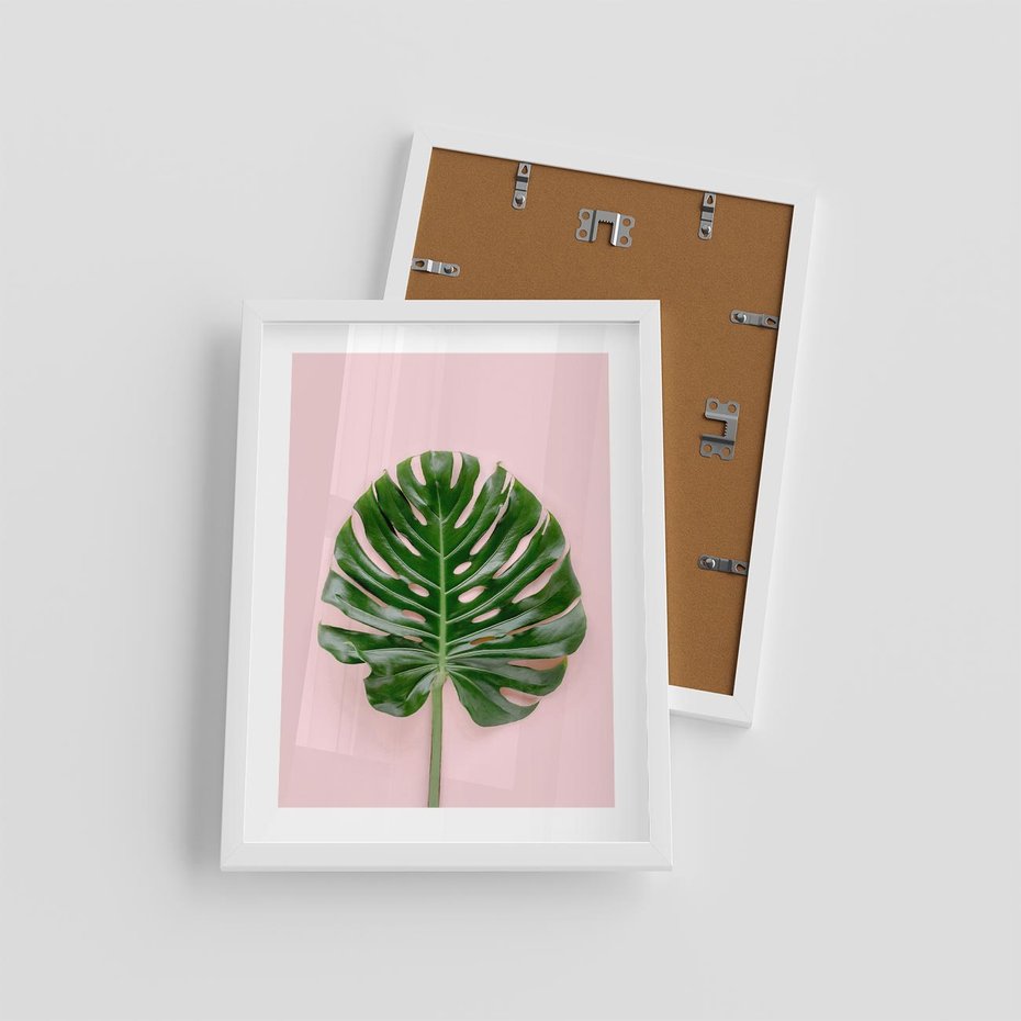 Plakat w ramie 30x40 - Monstera w Różowym Świetle - liść monstery, różowe tło - rama biała