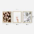 Zestaw obrazy w ramie 50x70 galeria - Kwiaty, wino, pościel, kobiece - rama drewno