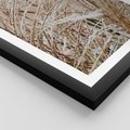 Plakat w ramie 50x70 - Beżowa Trawa - suche trawy, zbliżenie - rama czarna