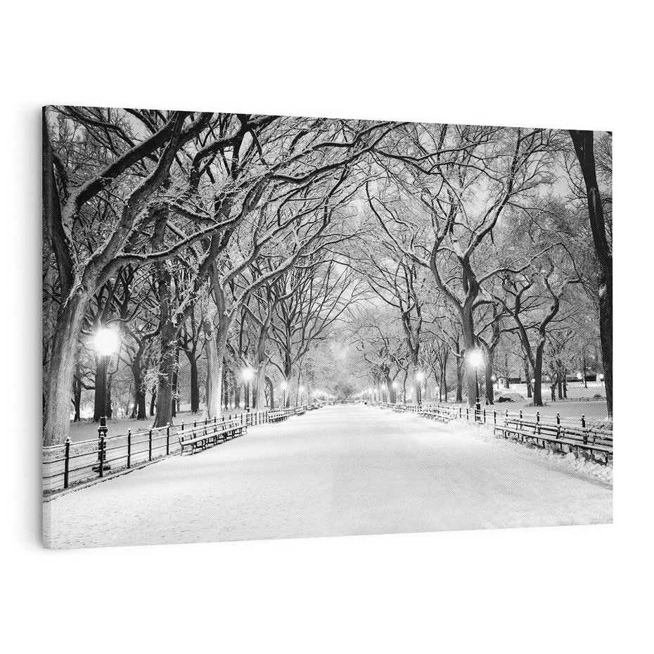 Obraz na płótnie 120x80 - cisza wśród drzew - zima, park