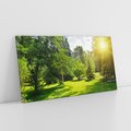 Obraz na płótnie 140x70 - Ogród: urok drzew i roślinności - ogród, drzewa
