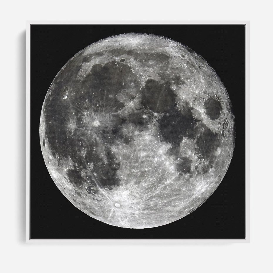 Obraz w ramie 50x50 - Księżycowa Aura - zdjęcie, ogromny księżyc na czarnym tle - rama biała
