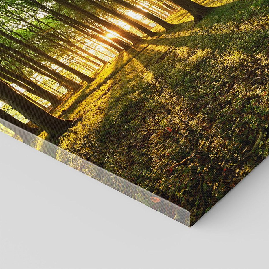 Obraz na płótnie 120x80 - Mistyfikujący urok leśnej głuszy - las, drzewa