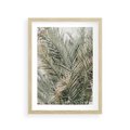 Plakat w ramie 30x40 - Egzotyczny Świat Palm - palmy, liście palmy - rama drewno