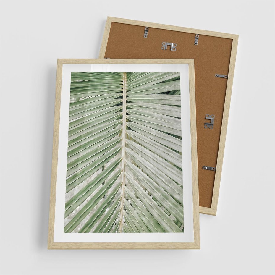 Plakat w ramie 50x70 - Jasna Zieleń Palmy - liść palmy, zbliżenie - rama drewno
