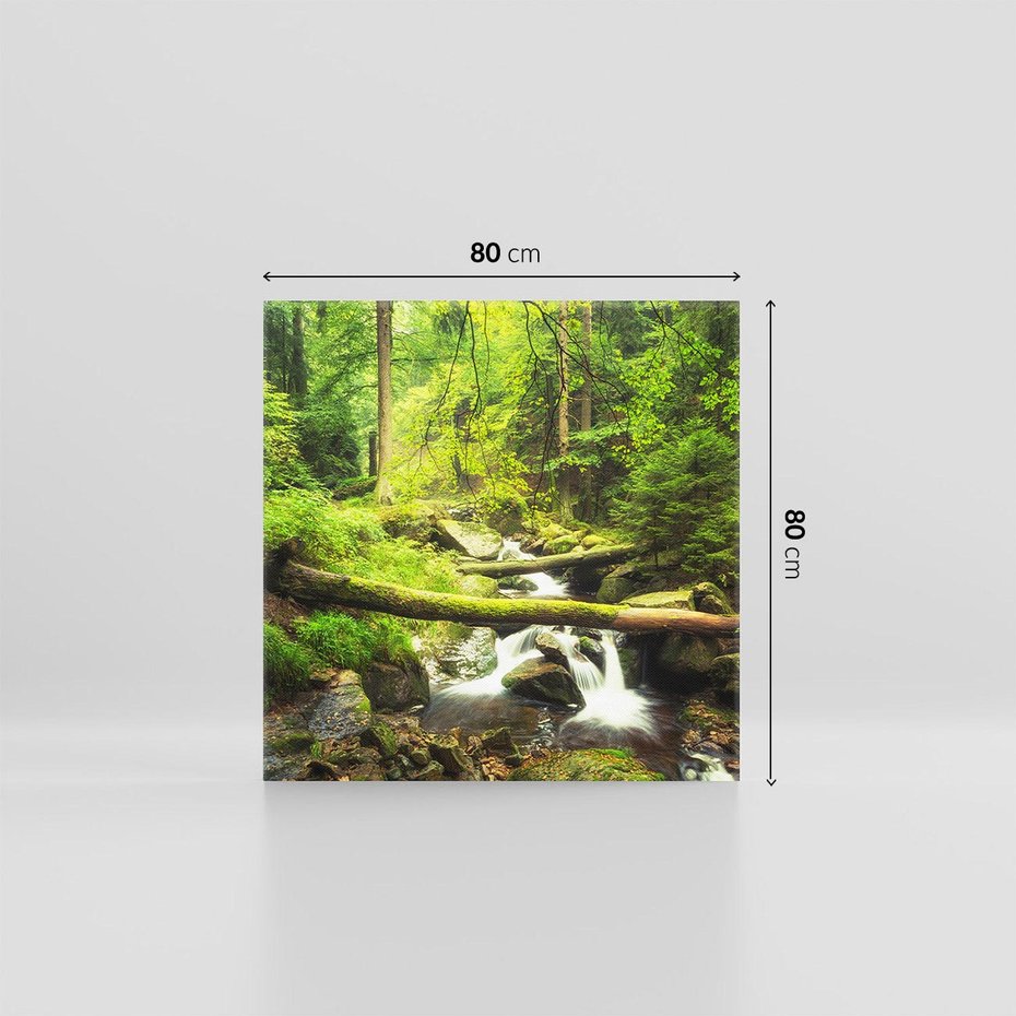 Obraz na płótnie 80x80 - Magiczny Strumień w Lesie - strumień, las