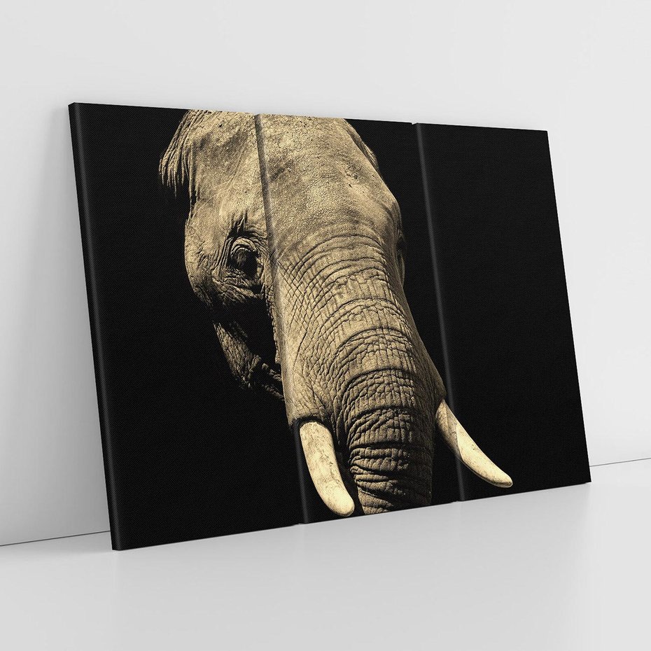 Obraz na płótnie 120x80 - Potężny słoń Afryki - safari, afryka