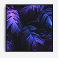 Obraz w ramie 50x50 - Mroczna Magia Dżungli - mroczna grafika, fioletowe liście monstery na czarnym tle - rama czarna