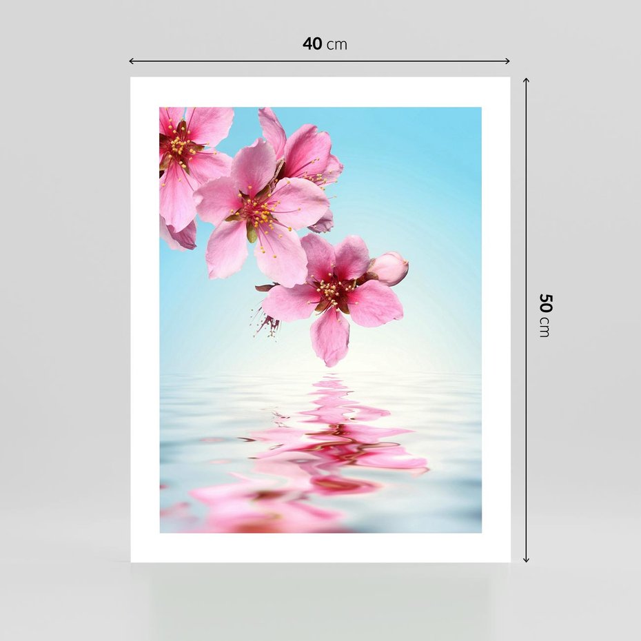 Plakat bez ramy 40x50 - Magia kwitnącej wiśni - kwitnąca, wiśnia