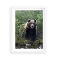 Plakat w ramie 50x70 - Spotkanie z Niedźwiedziem w Lesie - niedźwiedź, las - rama biała