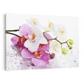 Obraz na płótnie 100x70 - Magia kwiatów - kwiaty