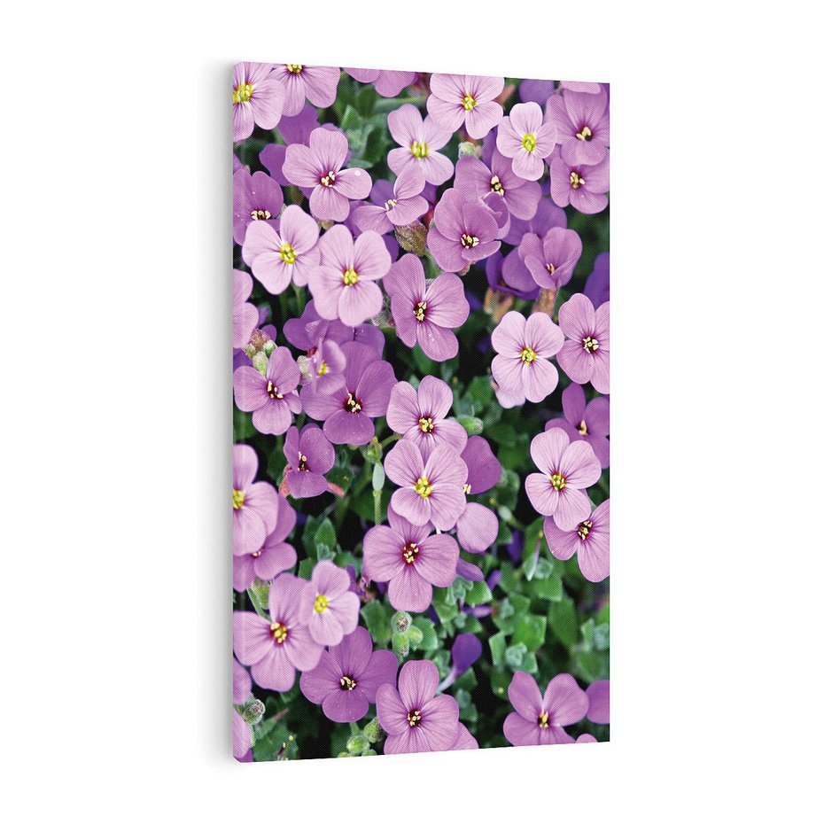 Obraz na płótnie 50x70 - Kwiatowa poezja w pastelowych odcieniach - kwiat, kwiaty