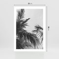 Plakat bez ramy 21x30 - Palmy w Monochromii - palmy, tropikalne palmy