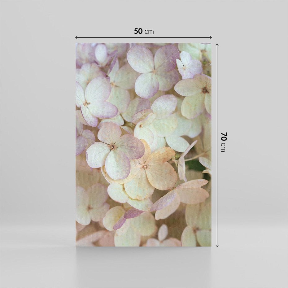Obraz na płótnie 50x70 - Kwiatowy taniec - kwiaty, hortensje