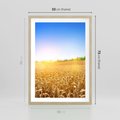 Plakat w ramie 50x70 - Żyzne Pola - pole, pszenicy - rama drewno