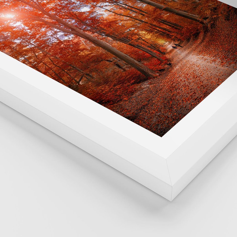 Plakat w ramie 30x40 - Magia jesiennego lasu - las, jesień - rama biała
