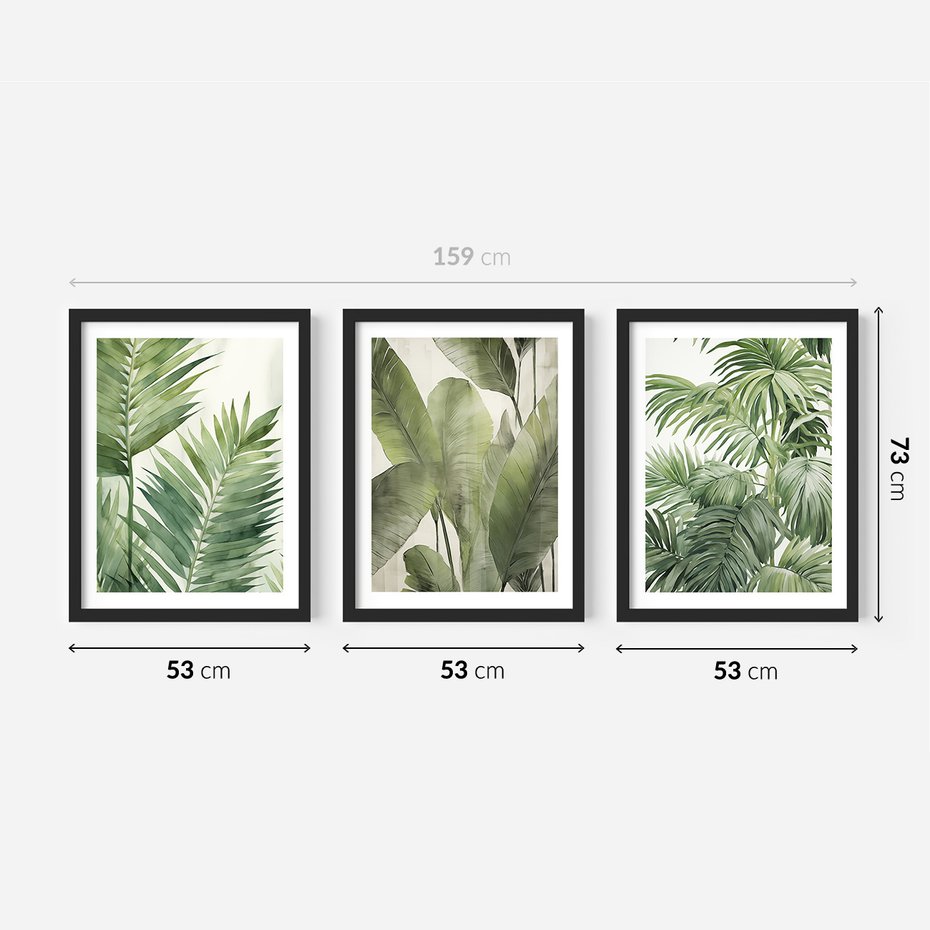 Zestaw obrazy w ramie 50x70 galeria - tropikalne, liście, palmy, bananowiec - rama czarna