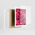 Plakat w ramie 40x50 - Romantyczne róże w pełnym rozkwicie - róże, kwiaty - rama biała