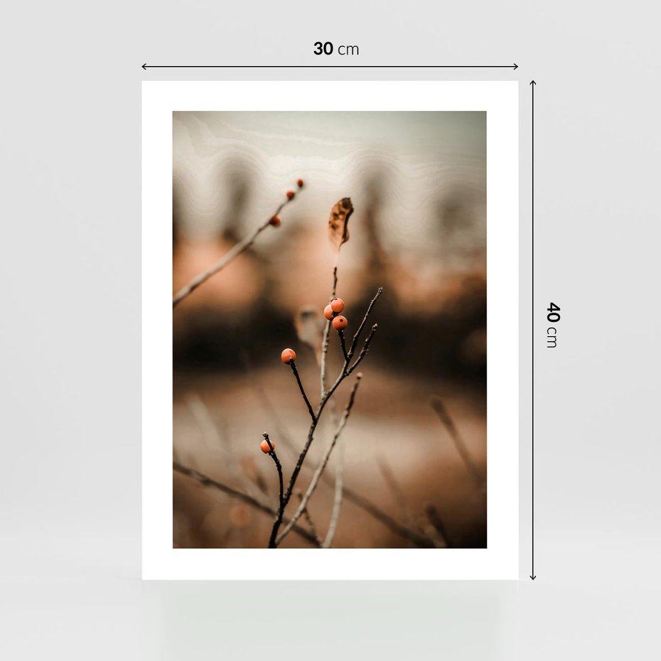 Plakat bez ramy 30x40 - Jarzębina w Pejzażu - jesień, gałązka