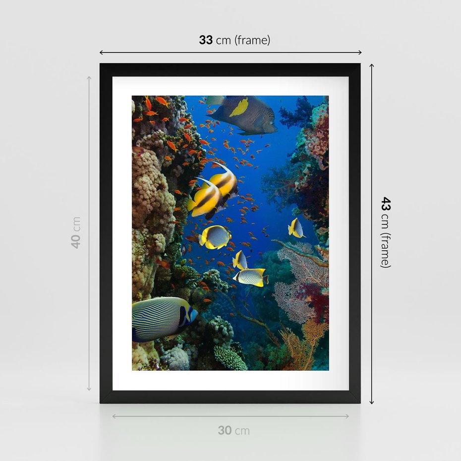 Plakat w ramie 30x40 - Podwodne królestwo rafy koralowej - rafa, koralowa - rama czarna
