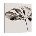 Obraz na płótnie 70x70 - Szapczący Liść - szkic, czarno biały