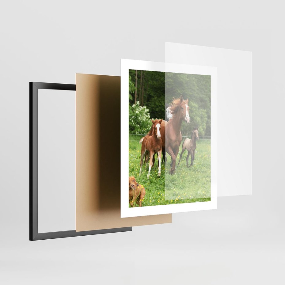 Plakat w ramie 40x50 - Galopujące konie - konie, galop - rama czarna