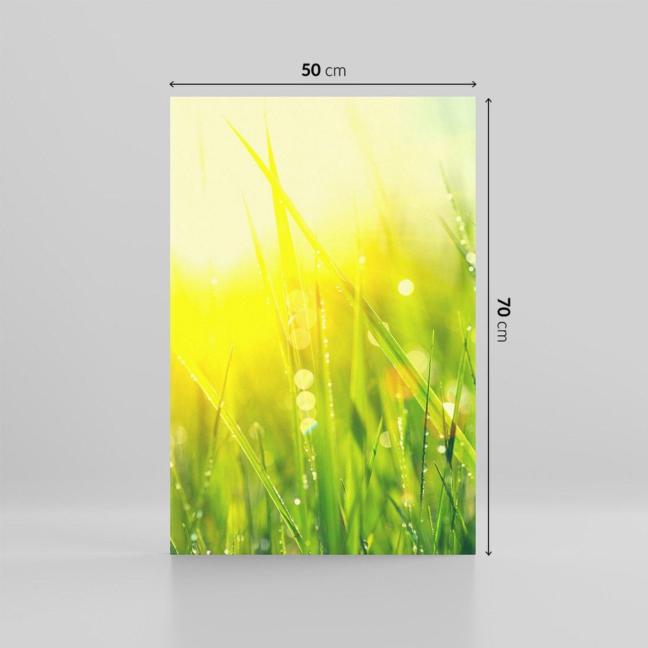 Obraz na płótnie 50x70 - Piękno Poranka - łąka, trawa