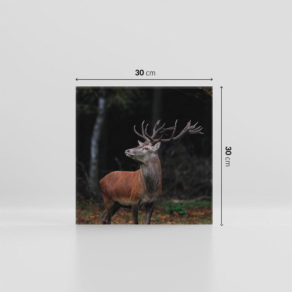 Obraz na płótnie 30x30 - Spotkanie z naturą - jeleń, las