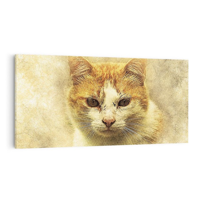 Obraz na płótnie 100x50 - Kot w abstrakcyjnym świecie - kot, sztuka