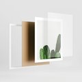 Plakat w ramie 40x50 - Minimalizm Natury - kaktus, zbliżenie - rama biała