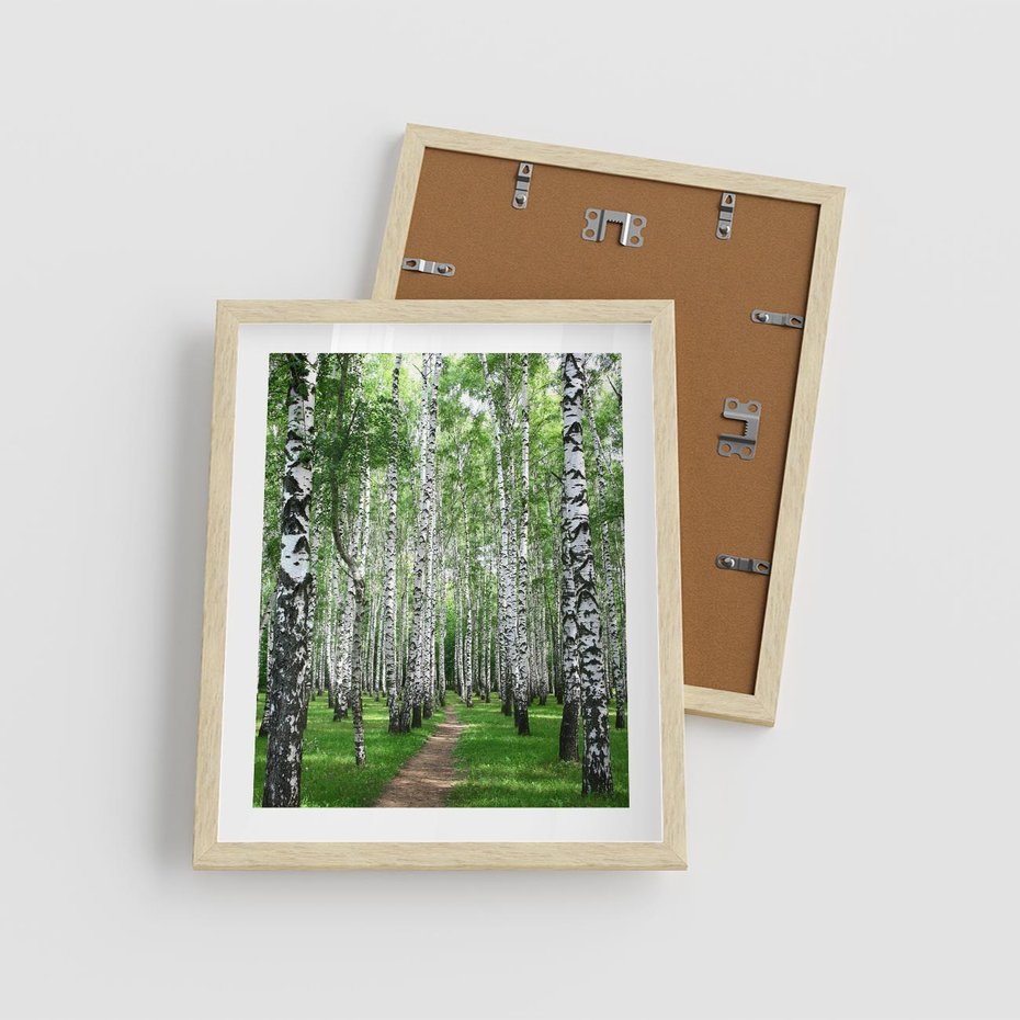 Plakat w ramie 40x50 - Magia lasu pełnego brzóz - las, brzozy - rama drewno