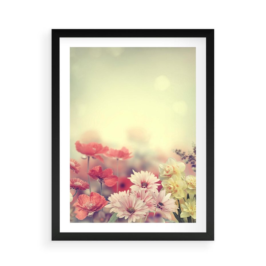 Plakat w ramie 50x70 - Delikatne kwiaty pastelowe - kwiaty, pastelowe - rama czarna